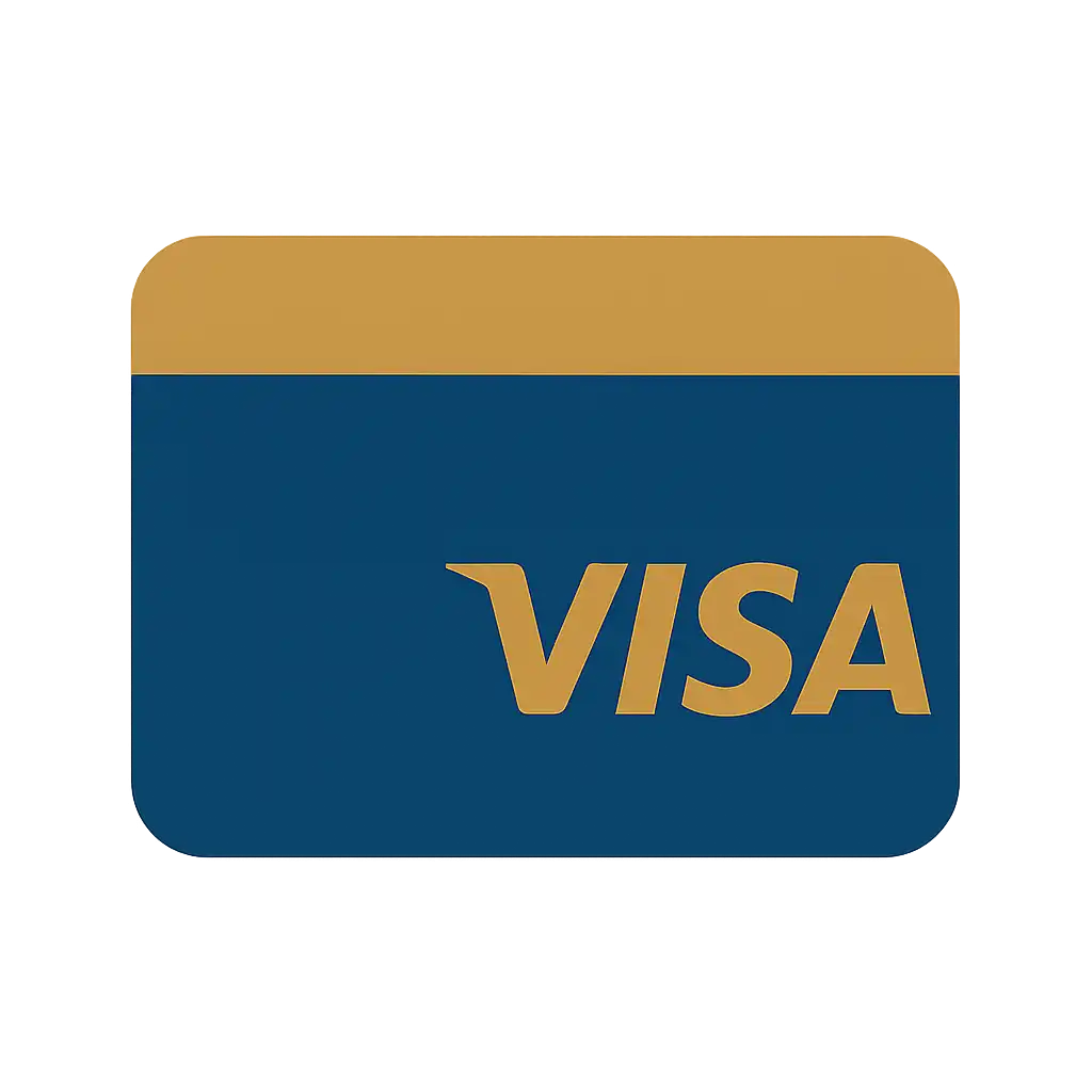 Visa icon